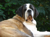 Dililah at age 9.