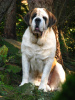 Fiona 3 years.