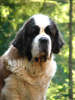 Xena 4 years.