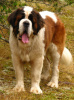 Lorenzo at 3 years old.