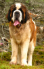 Ula 2 years old.