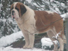 Gaela at 1 year 9 mo's.