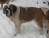 Belina 2 years old.