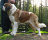 Cyrus at 2 years old.