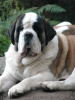 Kasper at 12 mo's.
