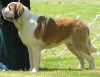 Carlo at 14 mo's.