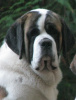 Jubilee @ 12 mo's old.
