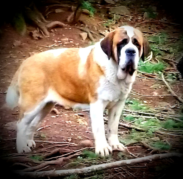 Sabina at 9 months.