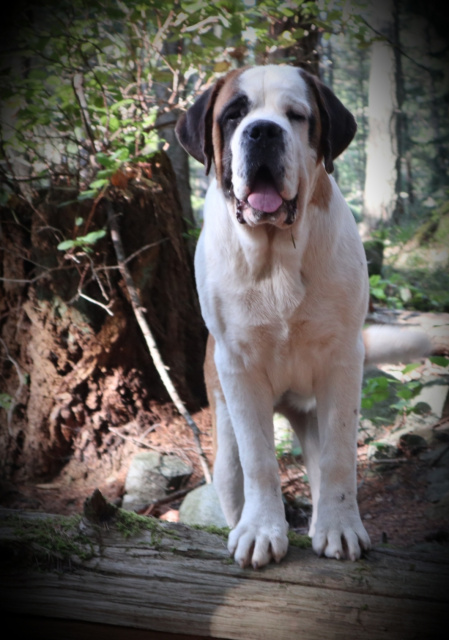 Quintana at 10 months old.