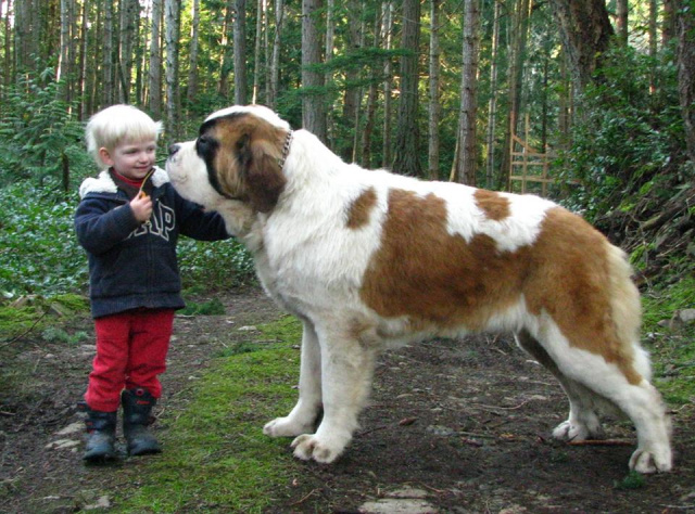 Arlen with Cooper