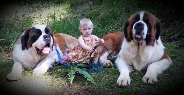 Ruth with Ambrose and Cooper.