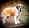 Sabina at 9 months.