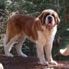 Kassidy  2 years.