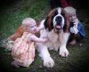 Our daughter Ruth and son Arlen with Horace